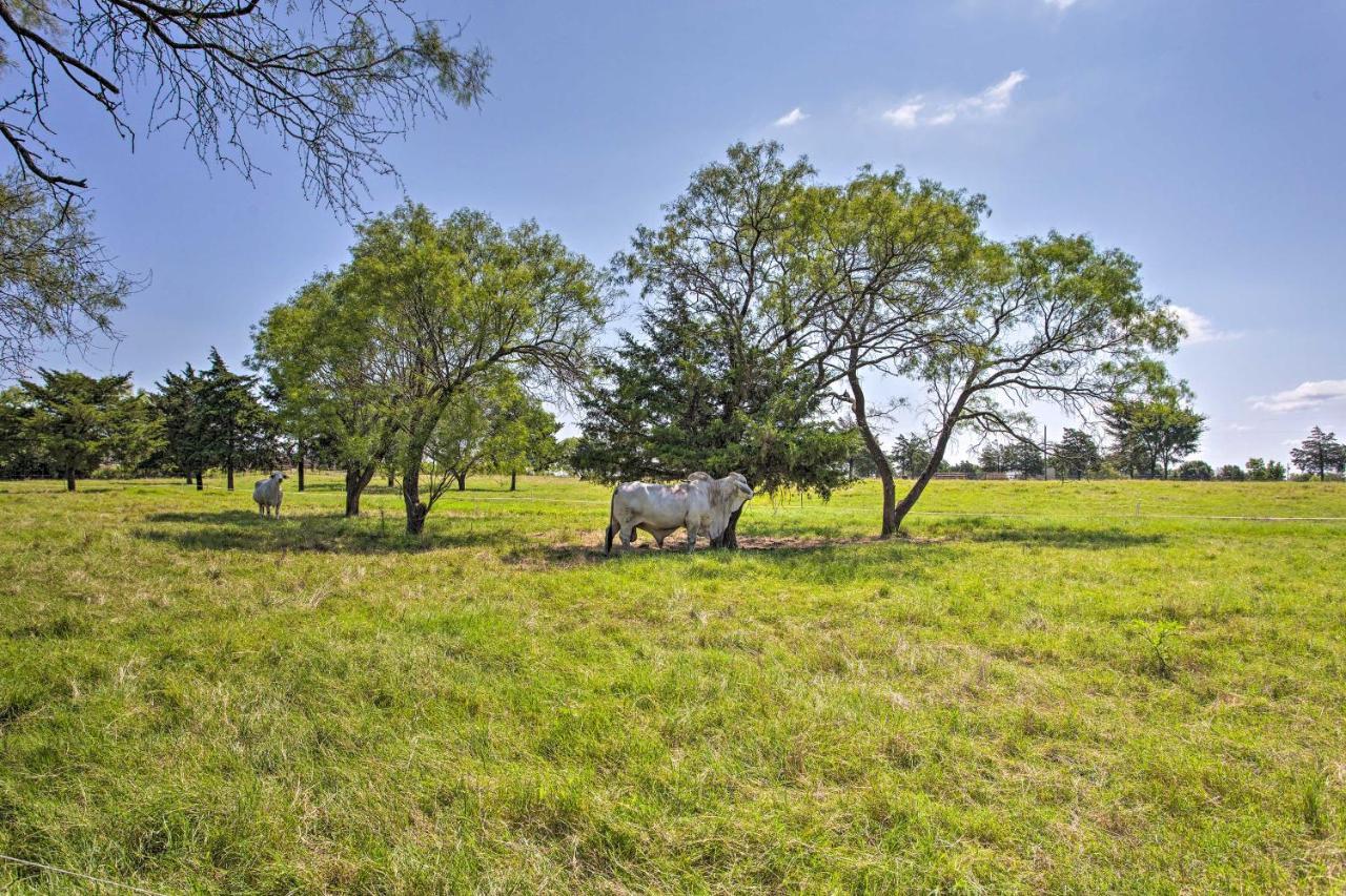 Texas Cabin On 130 Acres Walk To Lake Ray Roberts Collinsville Exteriör bild